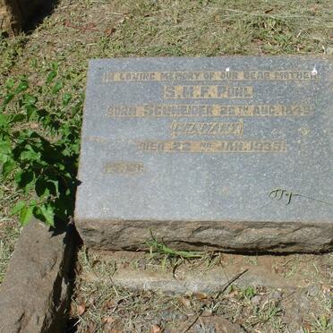 POHL S.M.F nee SCHNEIDER 1849-1935