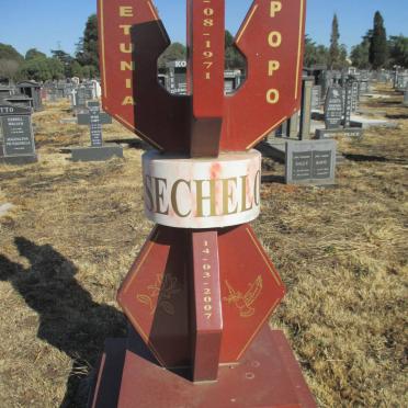 SECHELO Petunia Popo 1971-2007