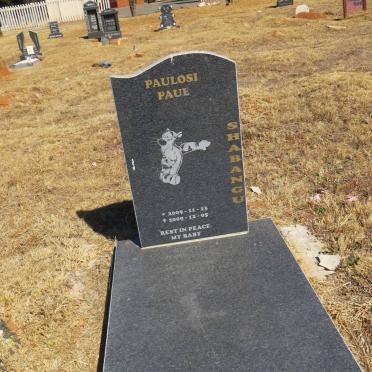 SHABANGU Paulosi Paul 2009-2009