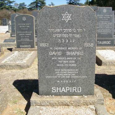 SHAPIRO David 1883-1958