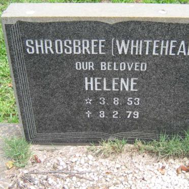 SHROSBREE Helene nee WHITEHEAD 1953-1979