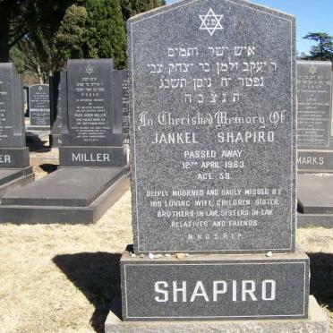 SHAPIRO Jankel -1963