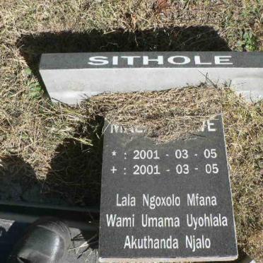 SITHOLE ?? 2001-2001