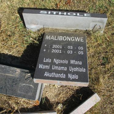 Si - Surnames starting with the letters Si