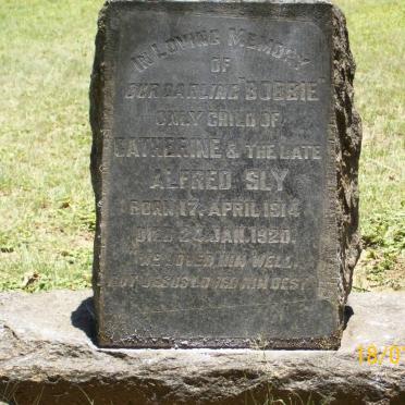 SLY Bobbie 1914-1920