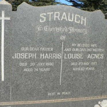 STRAUCH Joseph Harris -1960 &amp; Louise Agnes -1957