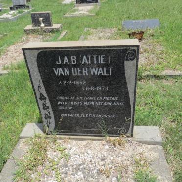 WALT J.A.B., van der 1952-1973