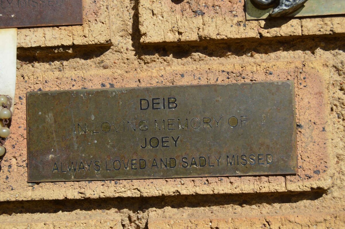 DEIB Joey