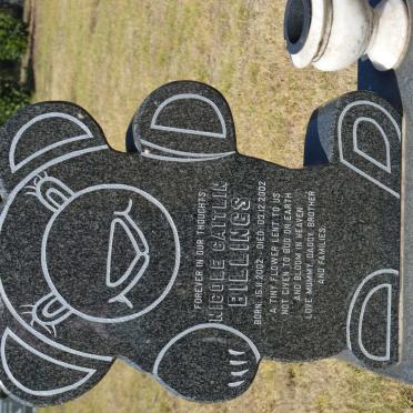 BILLINGS Nicole Caitlin 2002-2002