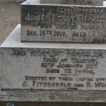 FITZGERALD James Henry -1910 :: WEGG Herbert Douglas -1917