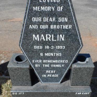 JIBILIZA Marlin 1993-1993