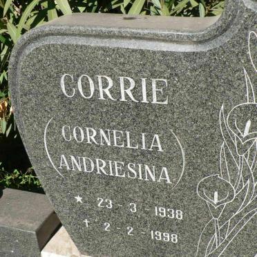LUBBE Cornelia Andriesina 1938-1998