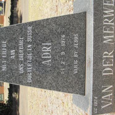 MERWE Adri, van der 1976-1976