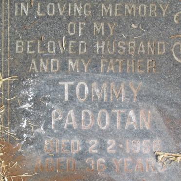 PADOTAN Tommy -1956