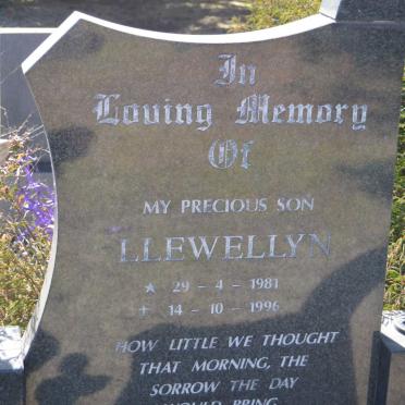 PLESSIS Llewellyn, du 1981-1996