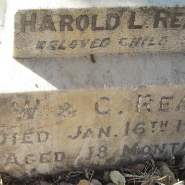 REAH Harold L. -1906