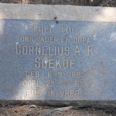 SOEKOE Cornelius A.R. 1883-1966