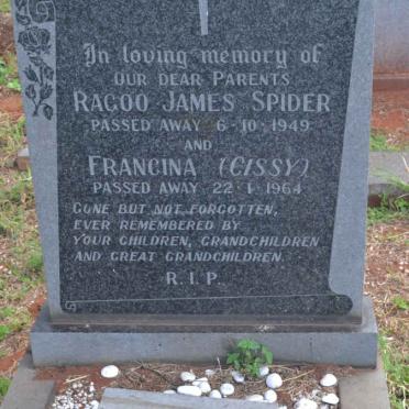 SPIDER Ragoo James -1949 &amp; Francina -1964 :: JOHNSON Fiona -1987