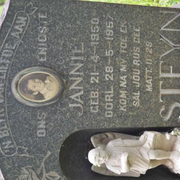STEYN Jannie 1950-1957