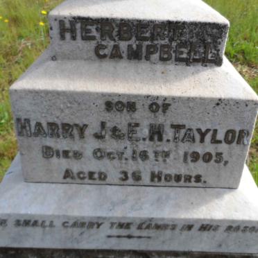 TAYLOR Herbert Campbell -1905