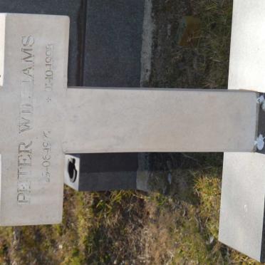 WILLIAMS Peter 1972-1998