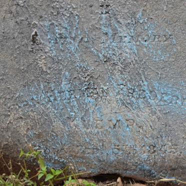 ?EMP Herman Frederick 1845-1897