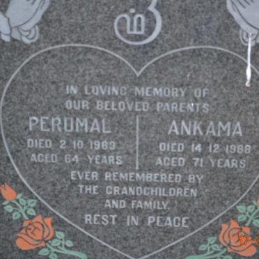 ? Perumal -1963 &amp; Ankama -1988