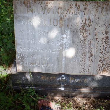 BOTHA Cornelius 1965-1987