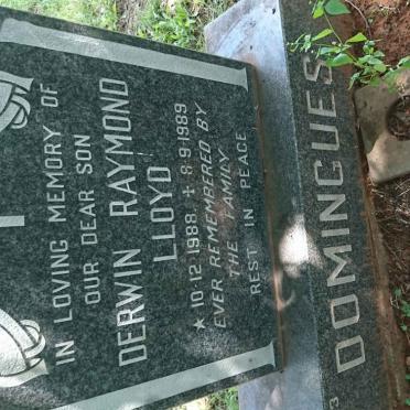 D - Vanne :: Surnames - D