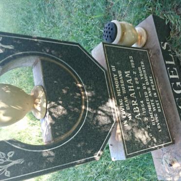 MUGGELS Abraham 1954-1993