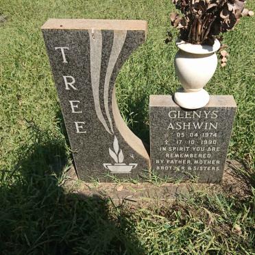 TREE Glenys Ashwin 1974-1990