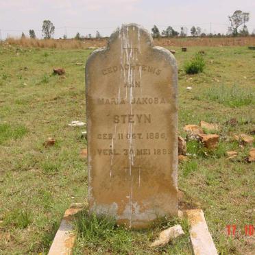 Gauteng, BRAKPAN district, Withok, farm cemetery