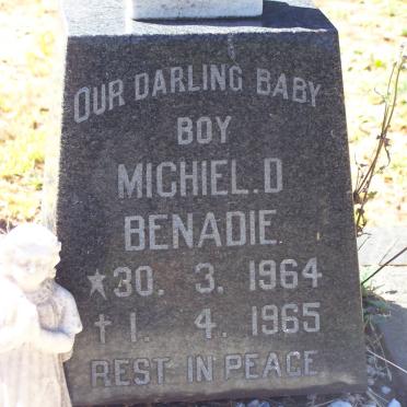 BENADIE Michiel D. 1964-1965