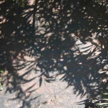 BOTHA Willem W. 1914-1976 &amp; Mercia VENTER 1924-1976 