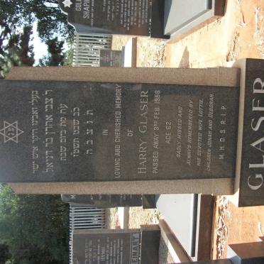 GLASER Harry -1956