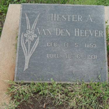 HEEVER Hester A., van den 1853-1931