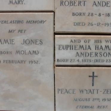 JONES :: ANDERSON :: WYATT-ZEEMAN