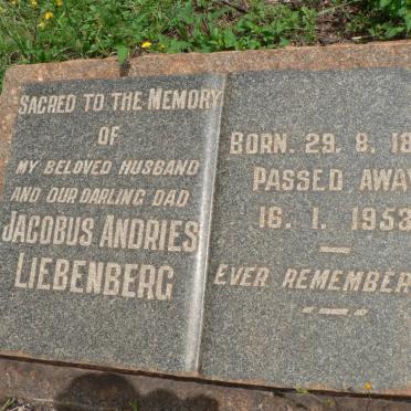 LIEBENBERG Jacobus Andries 1878-1953