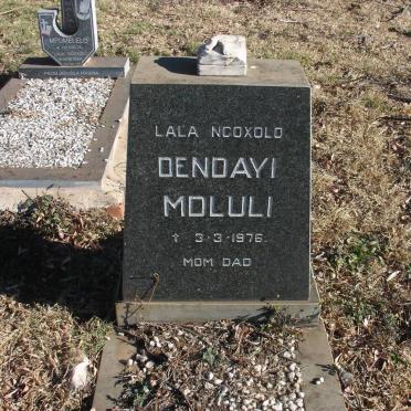 MDLULI Dendayi -1976
