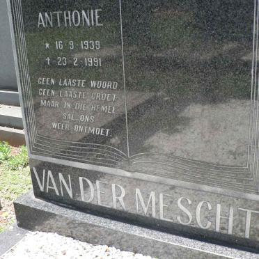 MESCHT Anthonie, van der 1939-1991