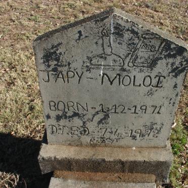 MOLOI Japy 1971-1972