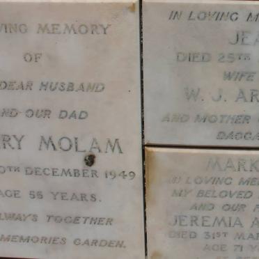 MOLAM :: ARNOTT :: MARKUS