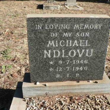NDLOVU Michael 1946-1946