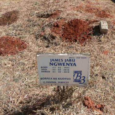 NGWENYA James Jabu 1973-2010