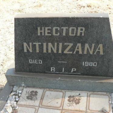 NTINIZANA Hector -1980