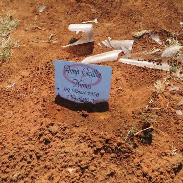 NUNES Anna Cicillia 1956-2013