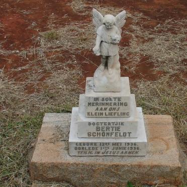 SCHONFELDT Bertie 1936-1936