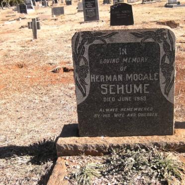 SEHUME Herman Mogale -1953