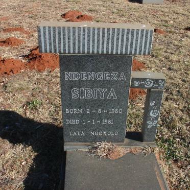 SIBIYA Ndengeza 1980-1981