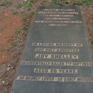 SHELLEY Alfred George -1941 :: Joy -1934